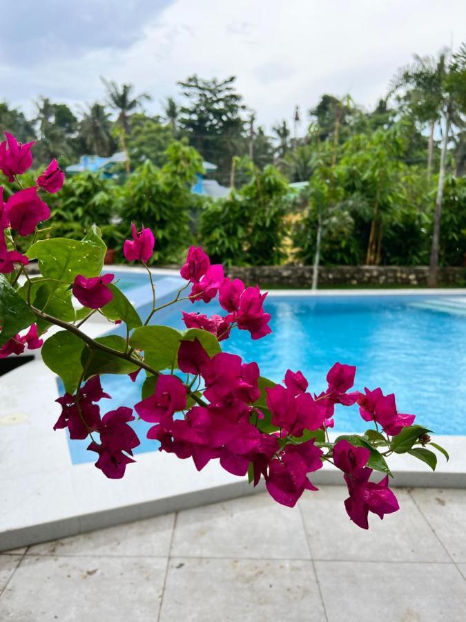 D Arc Leisure Home By The Sea Đảo Đảo Panglao Ngoại thất bức ảnh